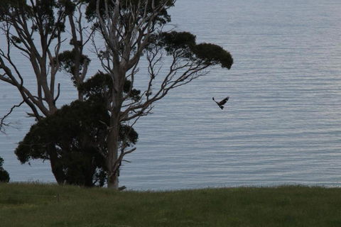 Penguin Seaside Farm - Holiday Jervis Bay 6
