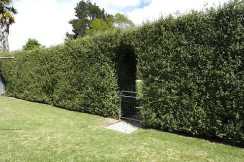 Belford House - Holiday Jervis Bay 1