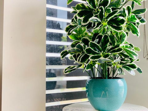 WHITSUNDAY Brand New Townhouse Close To Boardwalk - Holiday Jervis Bay 4