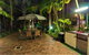 A Taste Of The Tropics - thumb 6