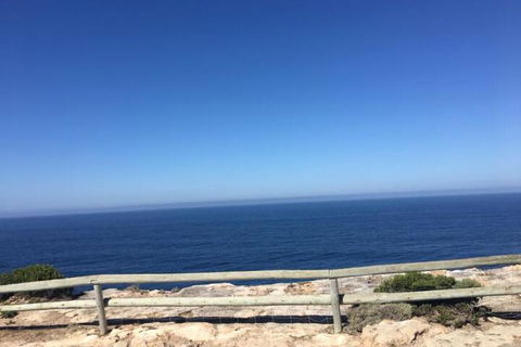 QUEEN BEDROOM FRIENDLY HOME PORTLAND - Holiday Jervis Bay 4
