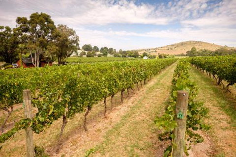 Fergusson Winery Homestead Accomodation - Holiday Jervis Bay 3