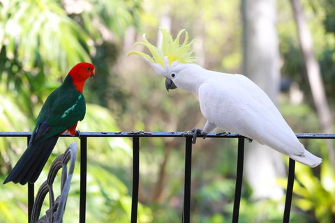 Palm Beach Bed & Breakfast - Holiday Jervis Bay 4