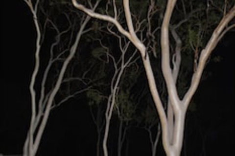 Sunbird Motel - Holiday Jervis Bay 4