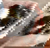 Margaret River Hideaway - Holiday Jervis Bay