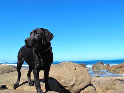 Beachside Prevelly Villas - Holiday Jervis Bay 2