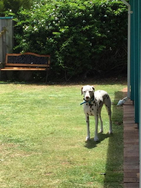 Beachside Prevelly Villas - Holiday Jervis Bay 3