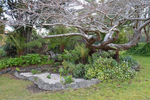 Smugglers Rest Apartments Dover - Holiday Jervis Bay 4