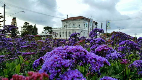 Georgia - Holiday Jervis Bay 3