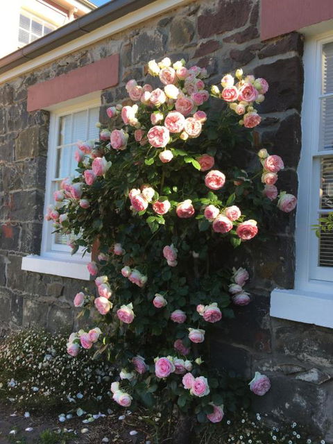 Georgia - Holiday Jervis Bay 6