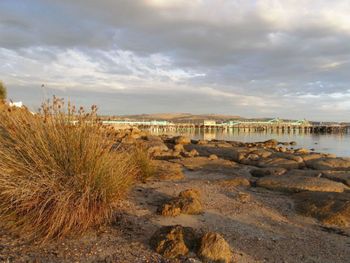 Port Lincoln Holiday Houses - Holiday Jervis Bay 4