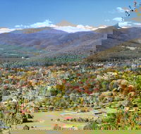 Discovery Parks - Bright - Holiday Jervis Bay