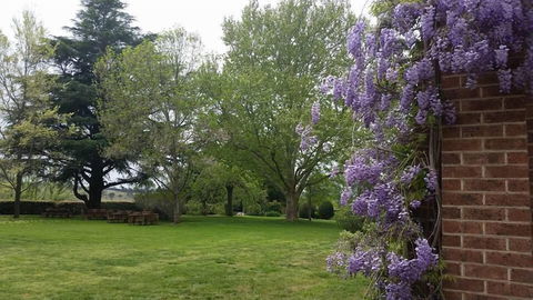 Petersons Armidale Winery & Guesthouse - Holiday Jervis Bay 0