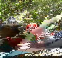 Lorne Bush House Cottages  Eco Retreats - Holiday Jervis Bay