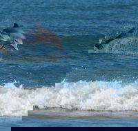 Summerhills Retreat Byron Bay - Holiday Jervis Bay