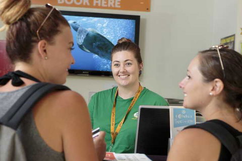 Cairns Central YHA - Hostel - Holiday Jervis Bay 7