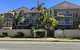 Sea Mist Palms - thumb 0
