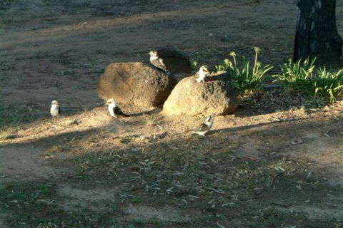 Riverview Motel Deniliquin - Holiday Jervis Bay 2