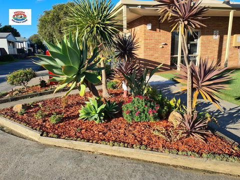 Chelsea Holiday Park - Holiday Jervis Bay 2