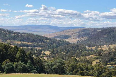 Sassafras Springs - Holiday Jervis Bay 6