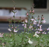 Serendipity on Allyn - Holiday Jervis Bay