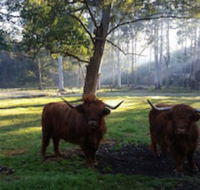 Dingley Dell - Holiday Jervis Bay