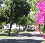 BIG 4 Hay - Holiday Jervis Bay