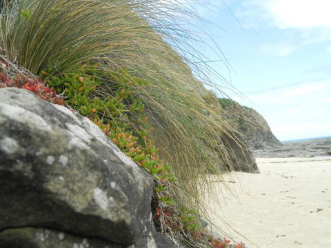 Cape 28 - Holiday Jervis Bay 5