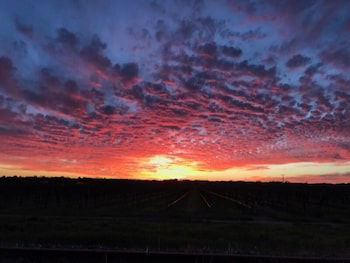 Barossa House - Holiday Jervis Bay 4