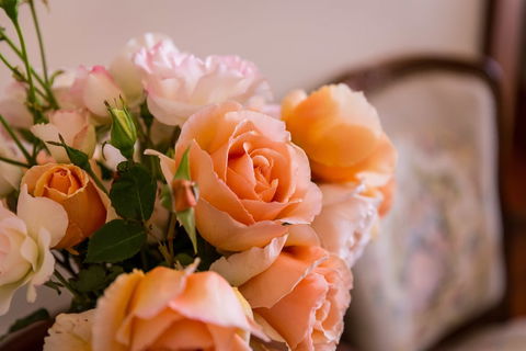 Barossa House - Holiday Jervis Bay 0