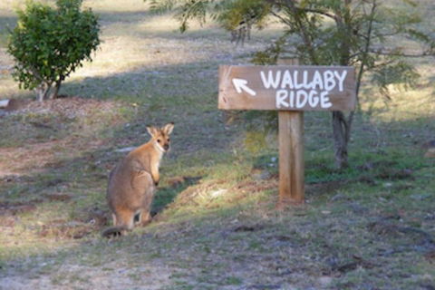 Wallaby Ridge Retreat - Holiday Jervis Bay 0