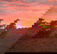 Corynnia Station - Holiday Jervis Bay