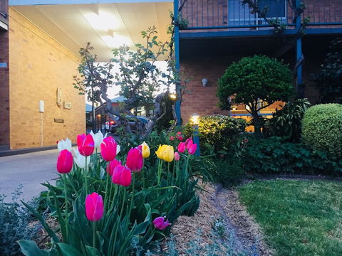 The Vines Motel And Cottages - Holiday Jervis Bay 0
