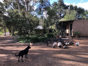 Country Cottages Of Bridgetown - Holiday Jervis Bay 1