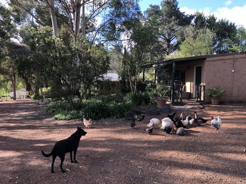 Country Cottages Of Bridgetown - Holiday Jervis Bay 4