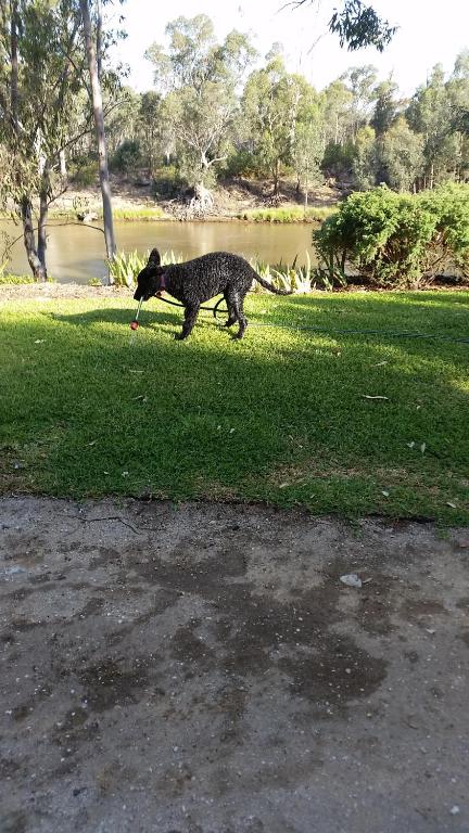 Captains Cottage Bed & Breakfast - Holiday Jervis Bay 3