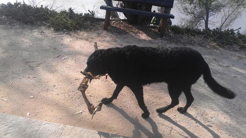 Captains Cottage Bed & Breakfast - Holiday Jervis Bay 6