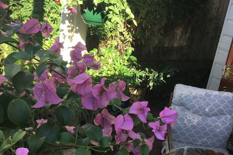 Swan Inn Bed & Breakfast - Holiday Jervis Bay 6