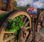 Bellum Hotel - Holiday Jervis Bay