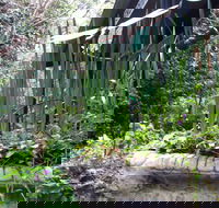 Lemonade Creek Cottages - Holiday Jervis Bay