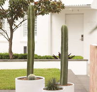 Adina Apartment Hotel Chippendale - Holiday Jervis Bay