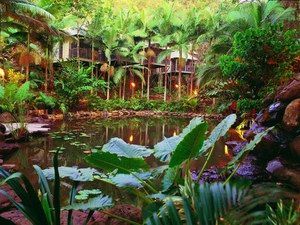Daintree Eco Lodge & Spa - Holiday Jervis Bay 0