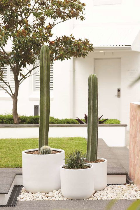 Adina Apartment Hotel Chippendale - Holiday Jervis Bay 0