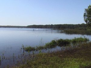 Cabarita Lake Apartments - Holiday Jervis Bay 2