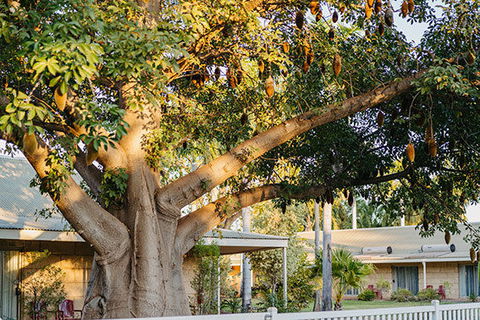 Kimberley Grande Resort & Conf Ctr - Holiday Jervis Bay 0