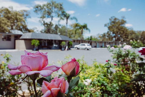 Artesian Spa Motor Inn - Holiday Jervis Bay 2