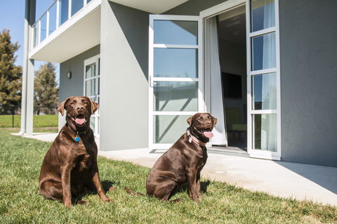Abode Narrabundah - Holiday Jervis Bay 20