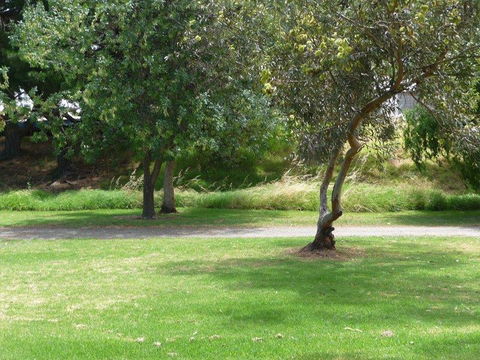 Victor Harbor Holiday Park - Holiday Jervis Bay 24