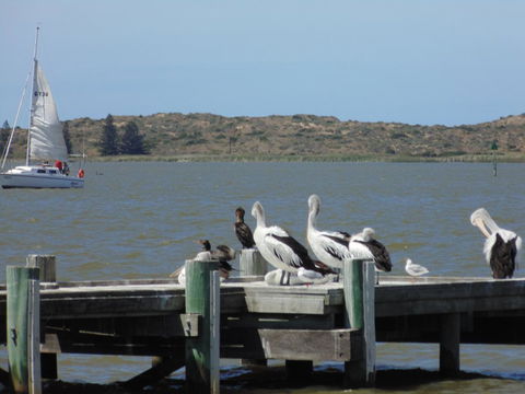 Baronet B & B - Holiday Jervis Bay 20
