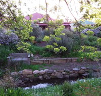 Frog Song at Willunga - Holiday Jervis Bay
